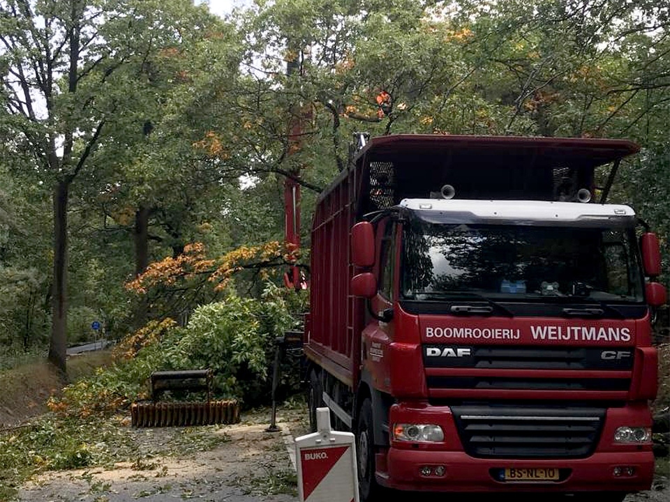 weijtmans 1 kopiëren