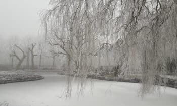 HIP Groen Beschoeiing Winter39