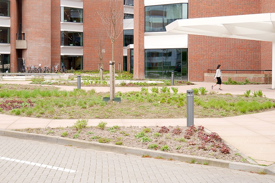 P1020800
