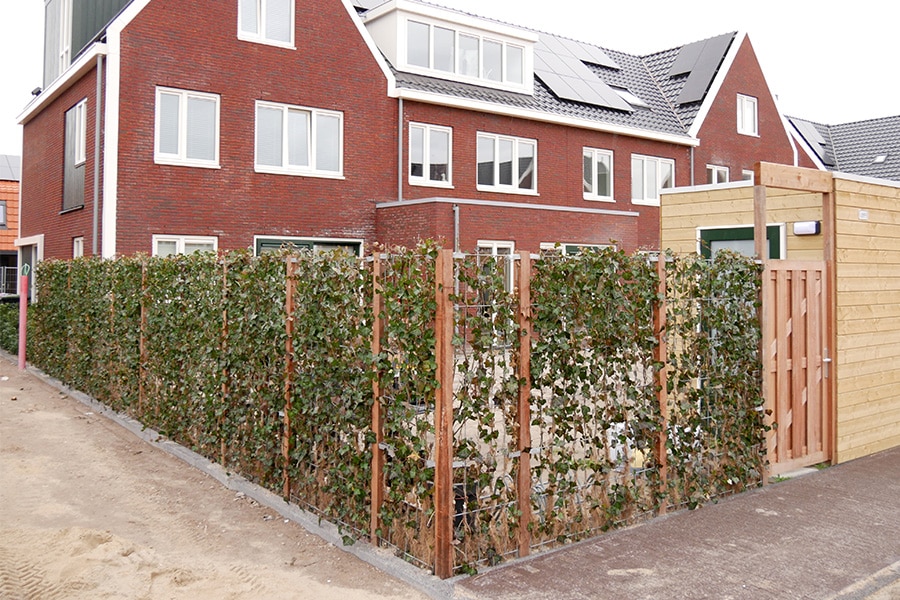 P1020803