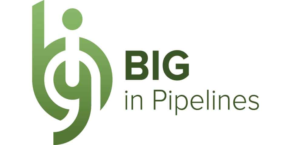 BIG logo RGB