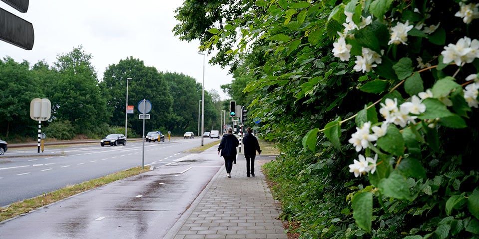 apeldoornseweg 3 kopieren