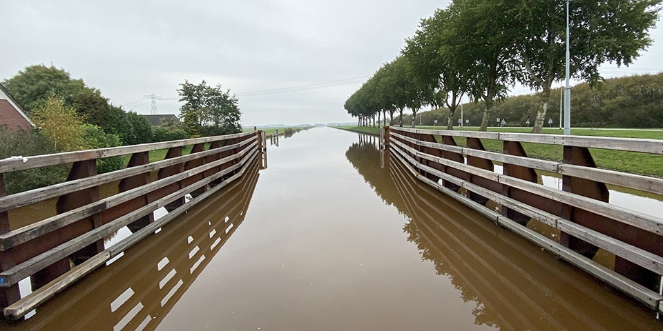 Zuid-Afrikaans hardhout in Groninger kanaal