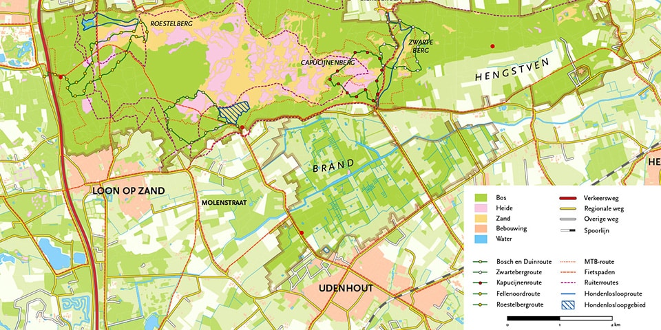Expert in GIS and cartography