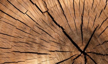 lumber 84678 1920 kopieren