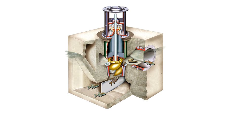 Strong in fish-friendly pumps