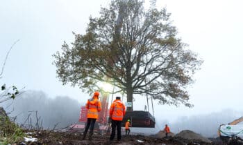 Foto 2 idverde