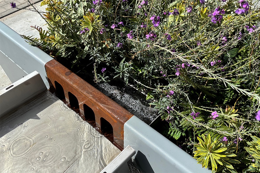 TBS-SVA Groep maakt buitenruimtes toekomstbestendig met klimaatadaptieve oplossingen 1