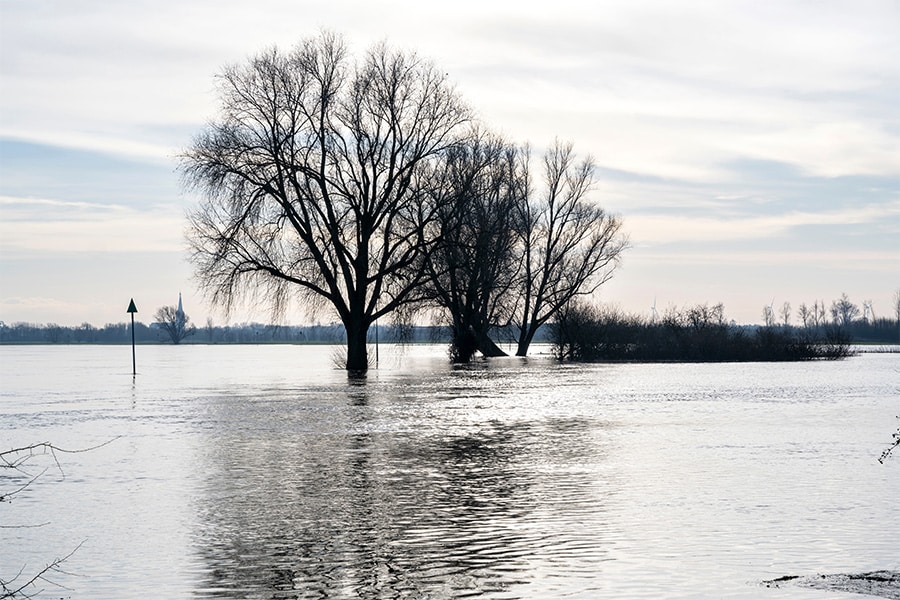 Natuur en veiligheid in Nederland hand in hand 2