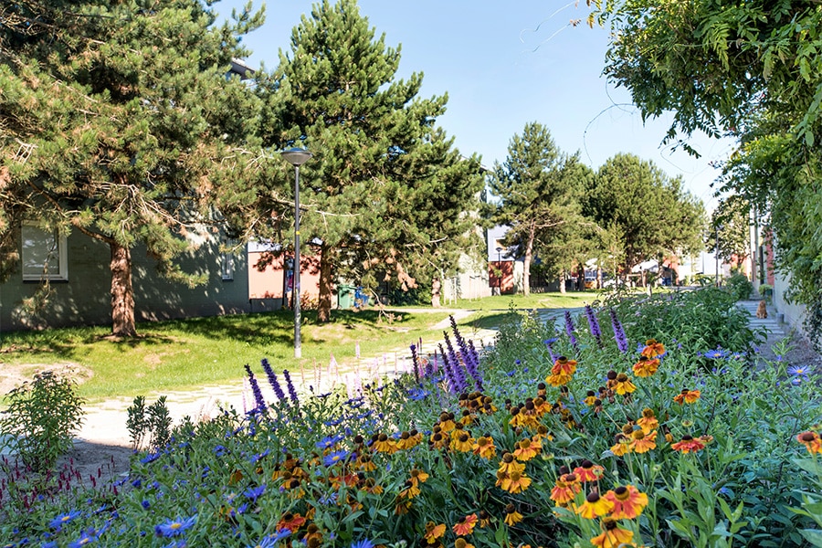 idverde NL: Niet bezuinigen, maar bouwen aan biodiversiteit 3