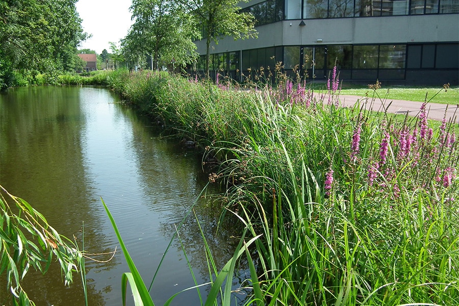 HIP Groen presenteert natuurinclusieve oeverbescherming op Infra Relatiedagen 1