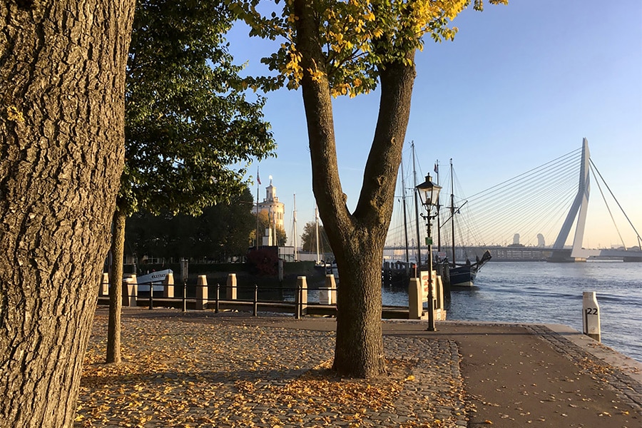 De reis van het object 6