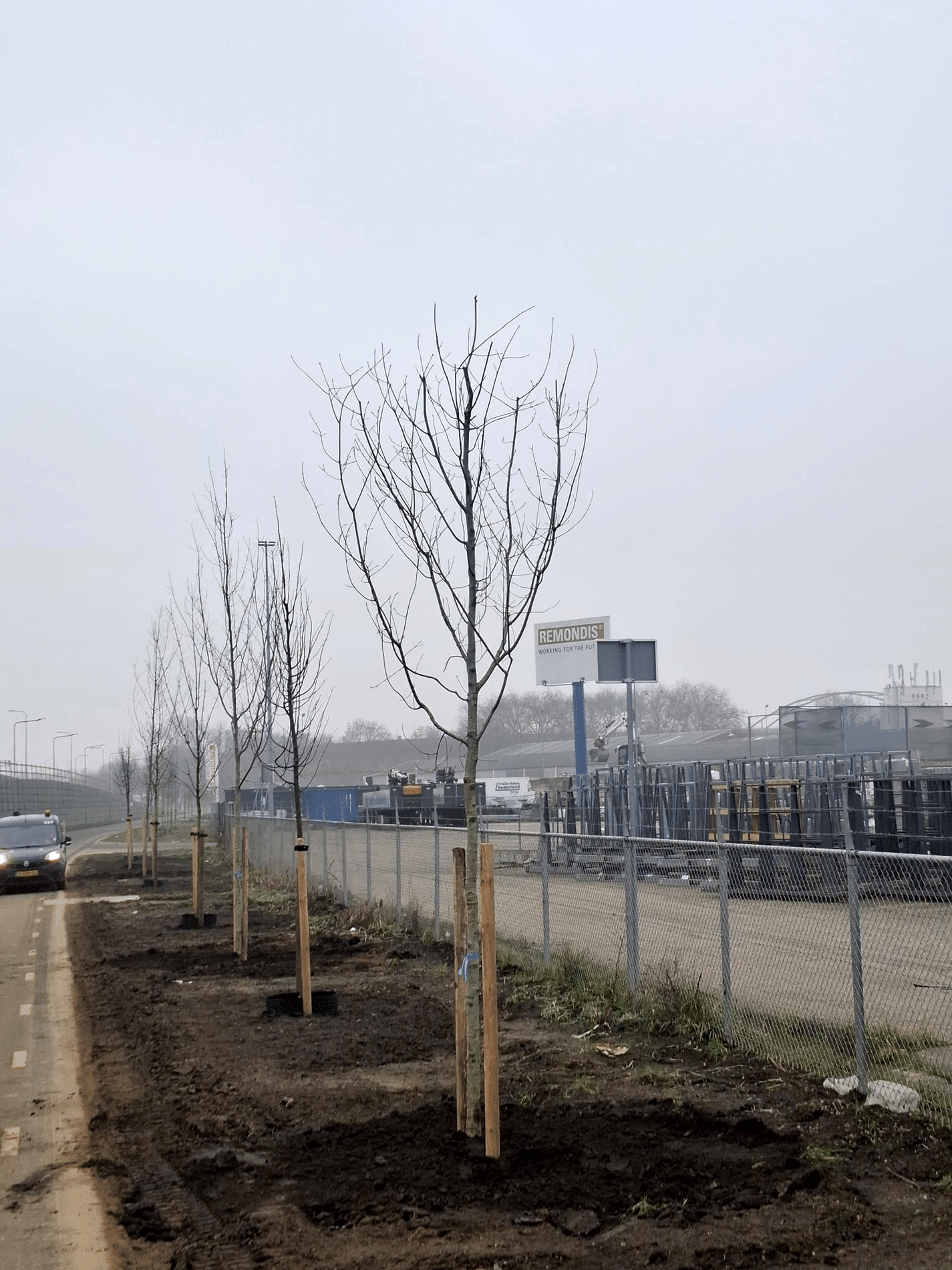 Ambitious green project 3