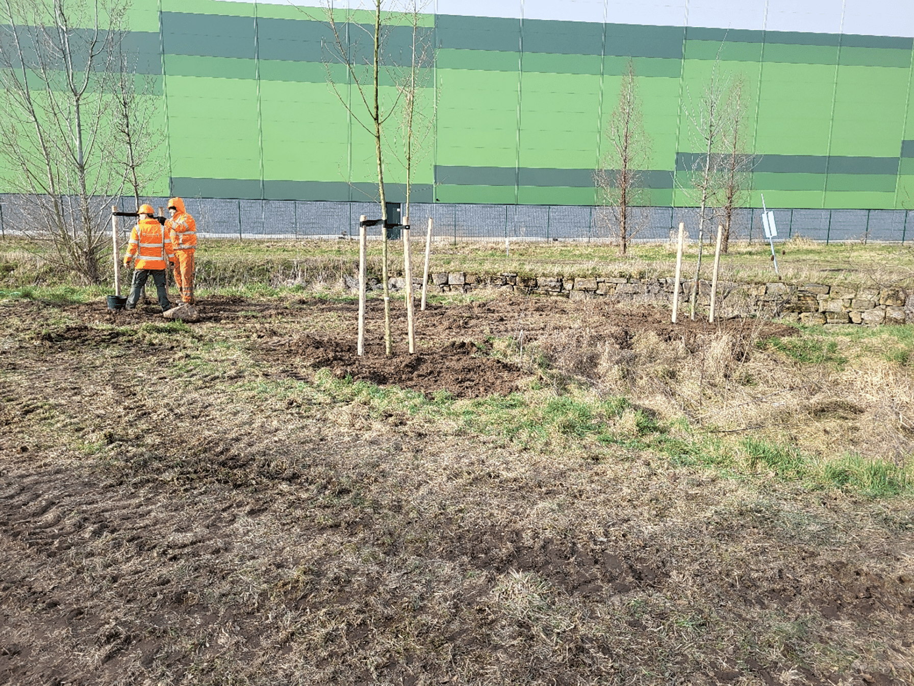 Ambitious green project 1