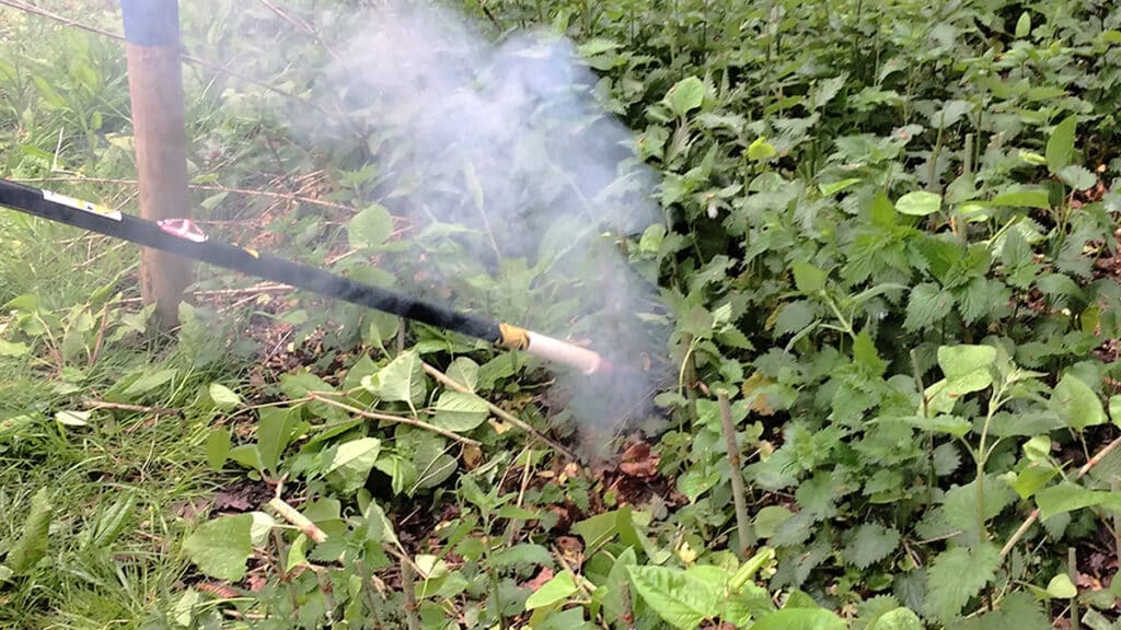 Bestrijden en beheersen van invasieve exoten 1