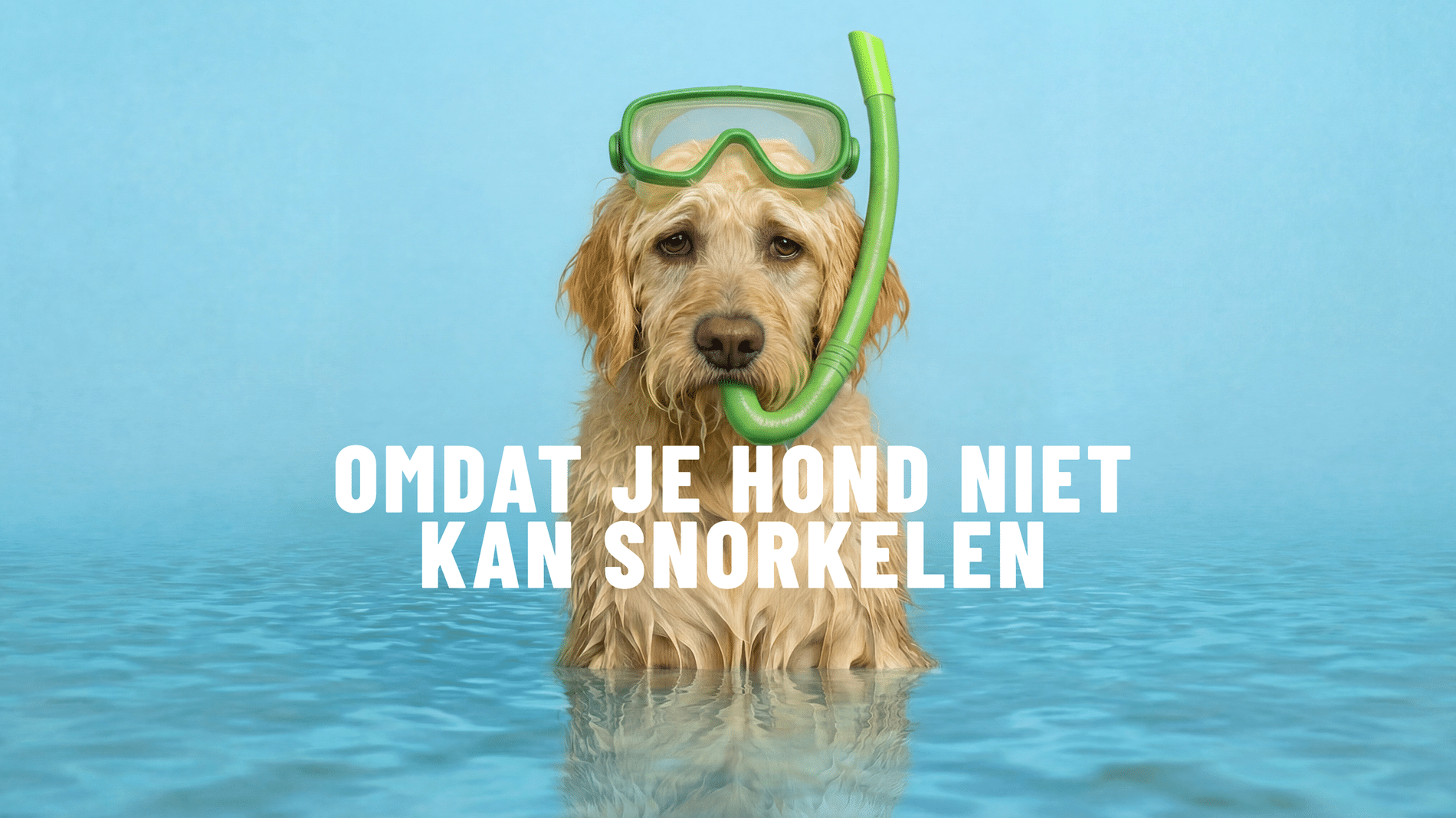 Waterbouwsector werft nieuwe generatie vakmensen 2