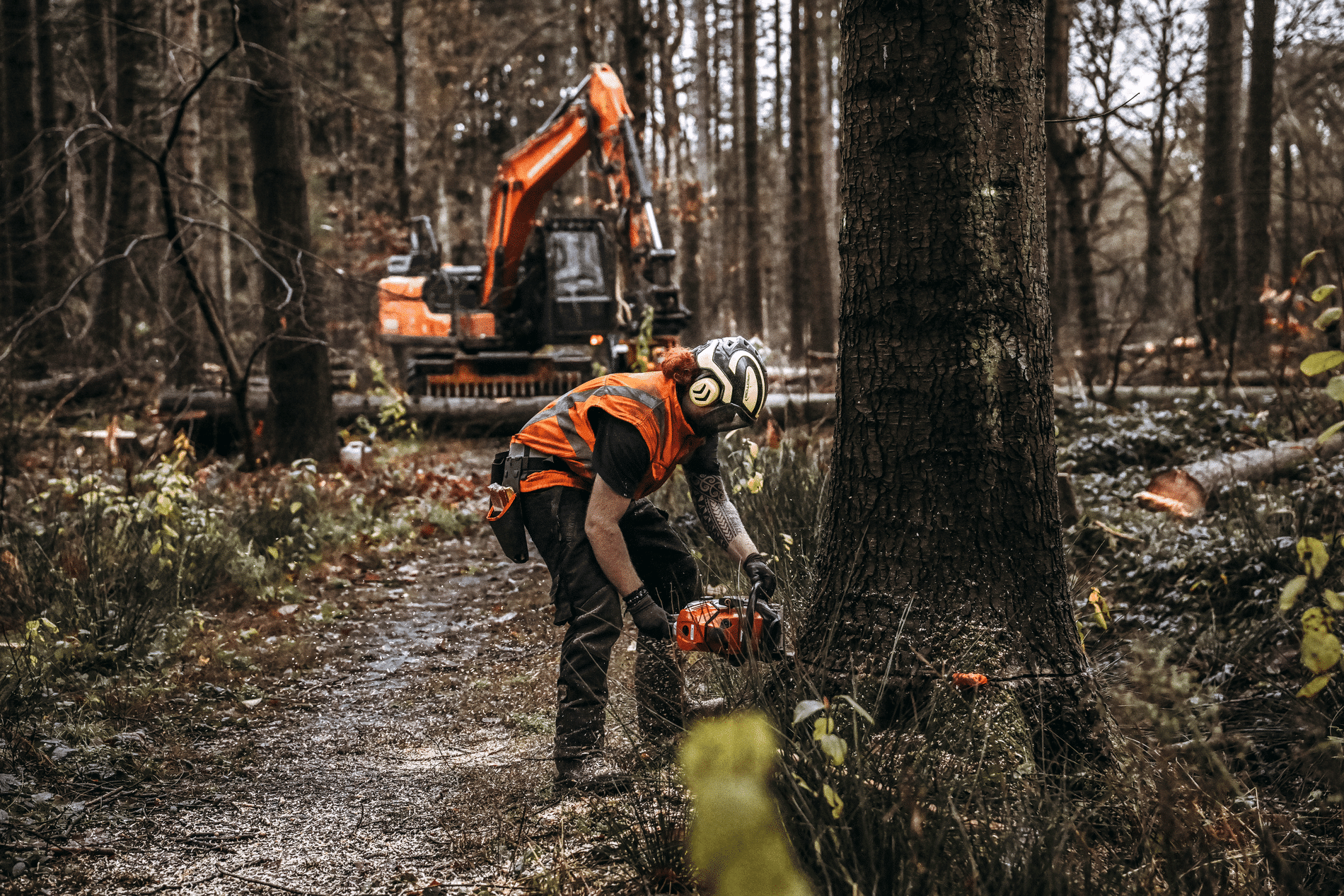Boomrooierij zet vol in op emissieloos werken en circulair houtgebruik 2
